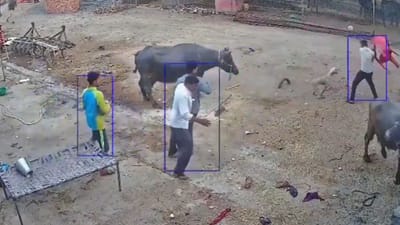 30 நொடிகளில் பலரை கடித்து குதறிய நாய் - வைரல் வீடியோ!