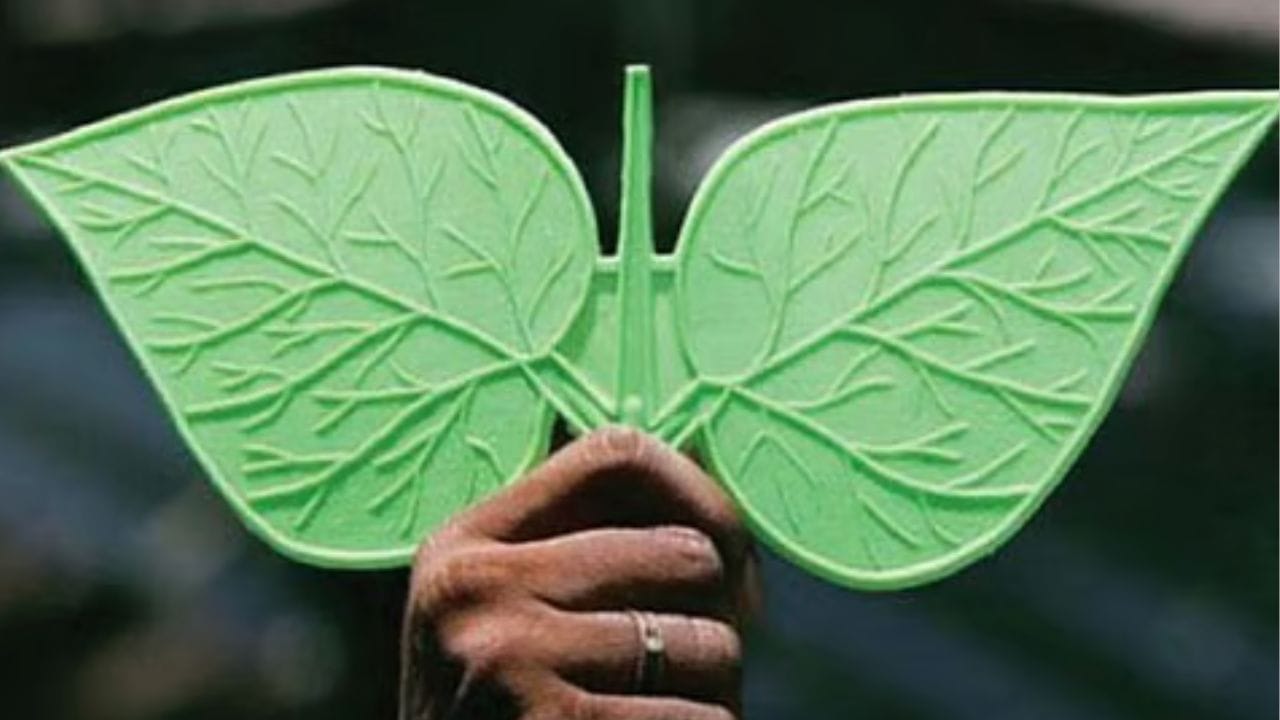 விராலிமலை தொகுதி, அண்ணா திராவிட முன்னேற்றக் கழகம் வலுவான கோட்டையாகக் கருதப்படுகிறது. அதேவேளை, திராவிட முன்னேற்றக் கழகம் பலமுறை வெற்றி பெற்றுள்ளது. தொடர்ந்து சி. விஜயபாஸ்கர் இத்தொகுதியில் தனது வெற்றியை தக்க வைத்துள்ளார். அவர் அதிமுக ஆட்சிக் காலத்தில் சுகாதாரத்துறை அமைச்சராகவும் பதவி வகித்துள்ளார்.