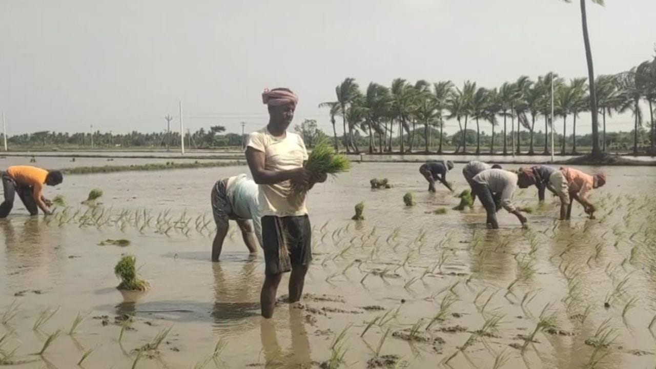 அரசியல் ரீதியாக முக்கியமான இந்த தொகுதியில், மக்கள் பல்வேறு பிரச்சினைகளை முன்வைத்து வருகின்றனர். குறிப்பாக சாலை வசதிகள் குறைவு, நீர் பற்றாக்குறை, வேலைவாய்ப்பு இல்லாமை மற்றும் விவசாயத்துக்கு நிலையான ஆதரவு தேவை போன்ற கோரிக்கைகள் வலியுறுத்தப்படுகின்றன.