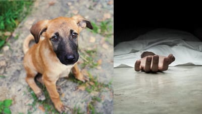 தூத்துக்குடியில் பெண்ணுக்கு எமனாக மாறிய நாய்க்குட்டி!