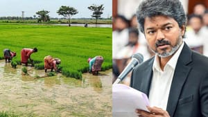 குறு, சிறு விவசாயிகள் பயிர்க்கடன் தள்ளுபடி – முதல்வர் விஜய் உத்தரவு.. குறு, சிறு விவசாயிகள் பயிர்க்கடன் தள்ளுபடி – முதல்வர் விஜய் உத்தரவு..