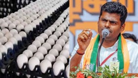 “பள்ளி மாணவர்களின் உணவில் அலட்சியம் காட்டக் கூடாது”.. தமிழக அரசுக்கு அண்ணாமலை கோரிக்கை!!...