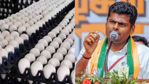 “பள்ளி மாணவர்களின் உணவில் அலட்சியம் காட்டக் கூடாது”.. தமிழக அரசுக்கு அண்ணாமலை கோரிக்கை!! “பள்ளி மாணவர்களின் உணவில் அலட்சியம் காட்டக் கூடாது”.. தமிழக அரசுக்கு அண்ணாமலை கோரிக்கை!!
