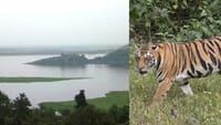 கொடைக்கானலில் பேரிஜம் ஏரிக்கு சுற்றுலா பயணிகள் செல்ல தடை.....