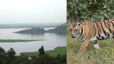 கொடைக்கானலில் பேரிஜம் ஏரிக்கு சுற்றுலா பயணிகள் செல்ல தடை..