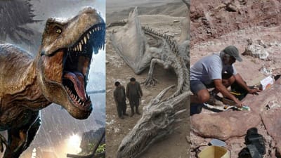 உலகின் மிகப்பெரிய டைனோசர் எது? – புதைபடிவங்கள் சொல்வது என்ன?