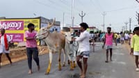 தூத்துக்குடியில் பிரமாண்ட மாட்டு வண்டிப் பந்தயம்..!...