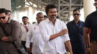 முதல்வர் விஜய்க்கு எதிரான வழக்கு.. விளக்கம் கேட்ட ஐகோர்ட்!...