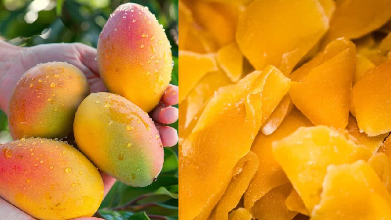 Fake vs Real Mango: கோடையில் களைகட்டும் மாம்பழ சீசன்.. உண்மையான மாம்பழத்தை அடையாளம் காண்பது எப்படி?
