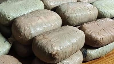 ஆந்திராவில் இருந்து பைக்கில் கடத்தி வரப்பட்ட 100 கிலோ கஞ்சா..