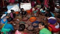 மீன் கூடையிலிருந்து டிஜிட்டல் வணிகம் வரை... அசத்தும் கோலி பெண்கள்...