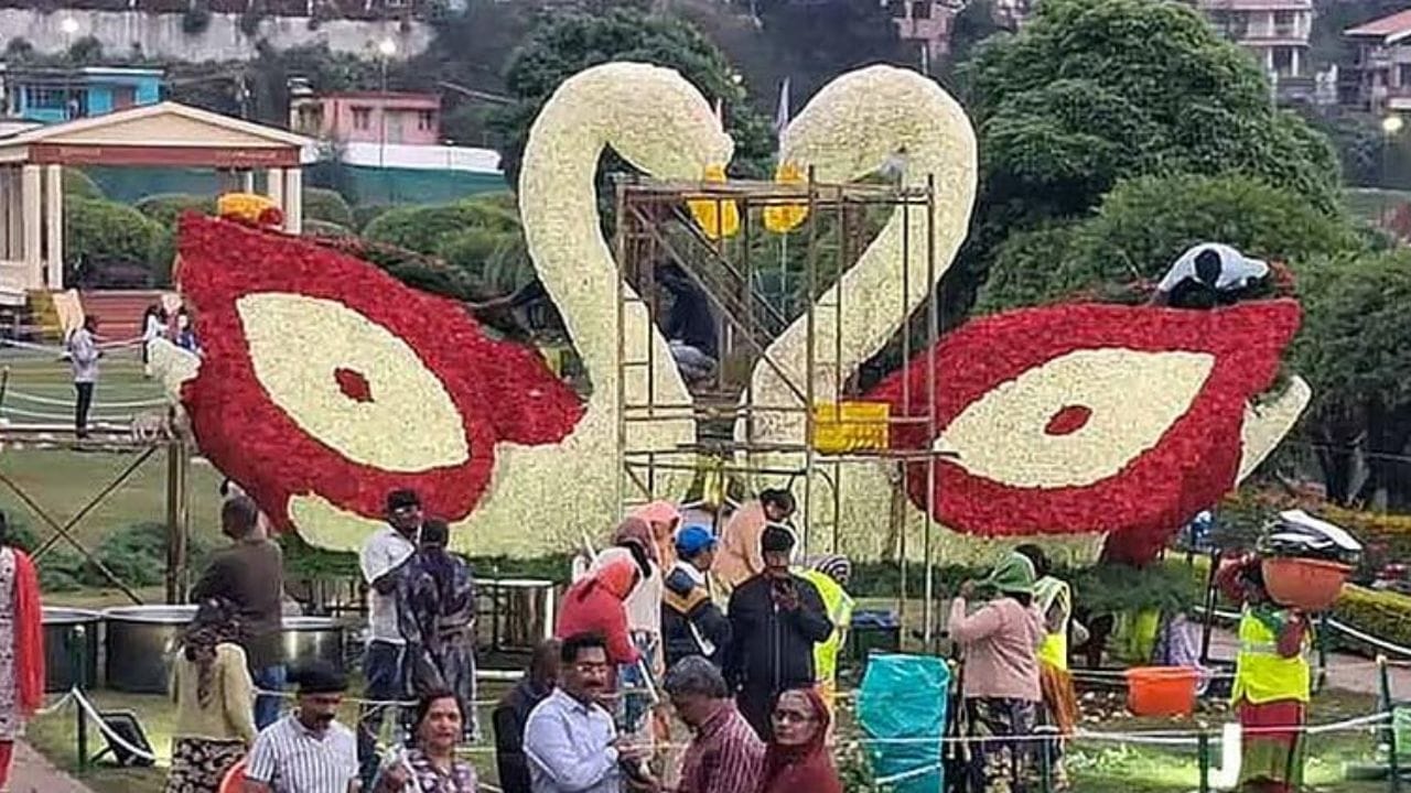 இந்த நிலையில், குன்னூர் சிம்ஸ் பூங்காவில் தோட்டக் கலைத்துறை சார்பில் நாளை புதன்கிழமை ( மே 27- ஆம் தேதி) பழ கண்காட்சி தொடங்க உள்ளது. இதில், பல்வேறு வகையான வண்ண மலர்களால் வன விலங்குகளான யானை, பெரிய வகை டைனோசர், சிறிய வகை டைனோசர், டைனோசர் முட்டை, ஒட்டகம், கொரில்லா குரங்கு, முதலை, நாரை, கொக்கு, வாத்துகள் உள்ளிட்ட உருவங்கள் அமைக்கப்பட்டுள்ளன.