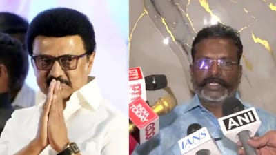 ஸ்டாலினிடம் தெரிவித்துவிட்டு தான் தவெகவுக்கு ஆதரவு - திருமாவளவன்