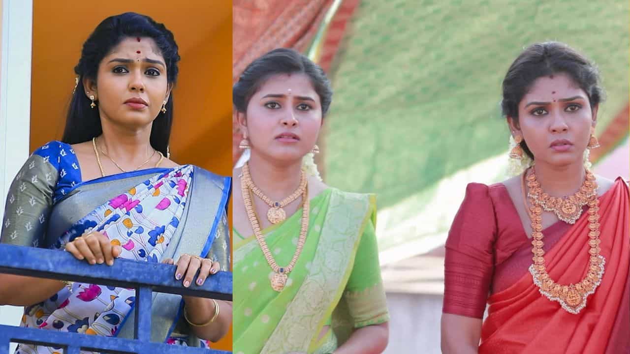 பாண்டியன் ஸ்டோர்ஸ் சீரியலில் மீனாவாக நடிக்கும் ஹேமாவின் ஒரு நாள் சம்பளம் எவ்வளவு தெரியுமா? - விவரங்கள் இதோ!
