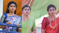 பாண்டியன் ஸ்டோர்ஸ் சீரியலில் ஹேமாவின் ஒரு நாள் சம்பளம் எவ்வளவு?...