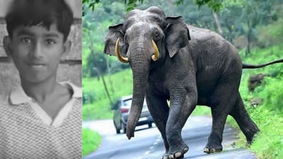 சலூன் சென்று திரும்பிய 12 வயது சிறுவனை அடித்துக் கொன்ற ஒற்றை யானை
