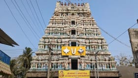 தம்பதியர் வாழ்க்கையில் மகிழ்ச்சி வேண்டுமா? இந்த அபூர்வ நரசிம்மரை தரிசியுங்கள்!...