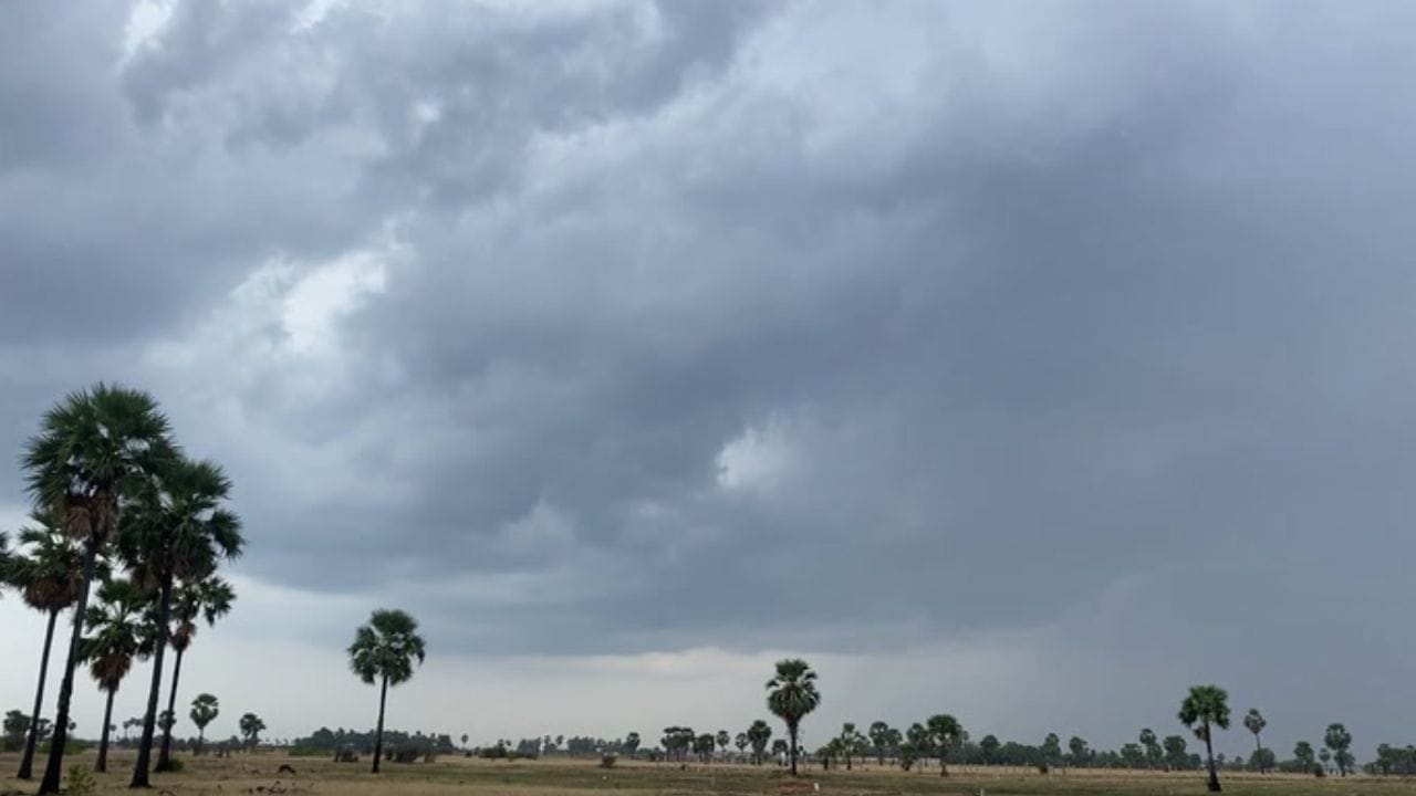 தூத்துக்குடியில் பல்வேறு பகுதியில் மழை.. நிலவும் குளிர்ந்த காற்று! தூத்துக்குடியில் பல்வேறு பகுதியில் மழை.. நிலவும் குளிர்ந்த காற்று!