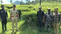 தானியங்கி கேமராக்களுடன் புலிகள் கணக்கெடுப்பு தொடக்கம்!...