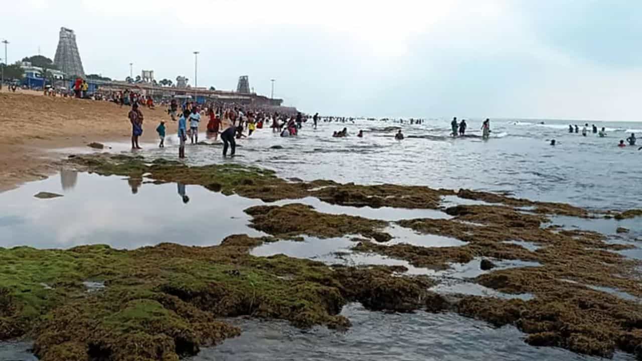 திருச்செந்தூரில் 2- ஆவது நாளாக நடந்த திடீர் மாற்றம்.. அதிர்ச்சியில் உறைந்த பக்தர்கள்.. என்ன காரணம்!