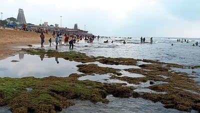 திருச்செந்தூர் கடலில் திடீர் மாற்றம்: பக்தர்கள் கடும் அதிர்ச்சி!