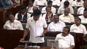 ‘சோஃபா செல்கிறது.. புது முதல்வர் செல்கிறார்’.. புஷ்பா பட சீனை குறிப்பிட்டு தவெகவை விமர்சித்த உதயநிதி! ‘சோஃபா செல்கிறது.. புது முதல்வர் செல்கிறார்’.. புஷ்பா பட சீனை குறிப்பிட்டு தவெகவை விமர்சித்த உதயநிதி!