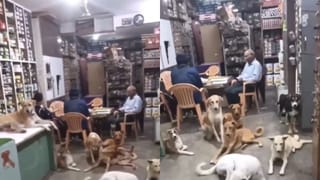 Viral Video : கொளுத்தும் வெயில்.. தெருநாய்களுக்கு கடையில் அடைக்கலம் கொடுத்த நபர்.. வைரல் வீடியோ!