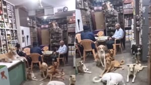 Viral Video : கொளுத்தும் வெயில்.. தெருநாய்களுக்கு கடையில் அடைக்கலம் கொடுத்த நபர்.. வைரல் வீடியோ!