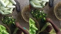 பச்சை ரசாயனம் பூசப்பட்ட வெள்ளரிக்காய் - வைரலாகும் வீடியோ!...