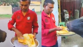 Viral Video : கடையை தேடு வரும் மாடு.. தினந்தோறும் தோசை சுட்டு கொடுக்கும் உரிமையாளர்.. இணையத்தை கவர்ந்த வீடியோ!...