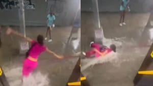 Viral Video : நியூயார்க் கனமழை.. சாலையில் பெருக்கெடுத்து ஓடிய வெள்ளத்தில் அடித்துச் செல்லப்பட்ட பெண்! Viral Video : நியூயார்க் கனமழை.. சாலையில் பெருக்கெடுத்து ஓடிய வெள்ளத்தில் அடித்துச் செல்லப்பட்ட பெண்!