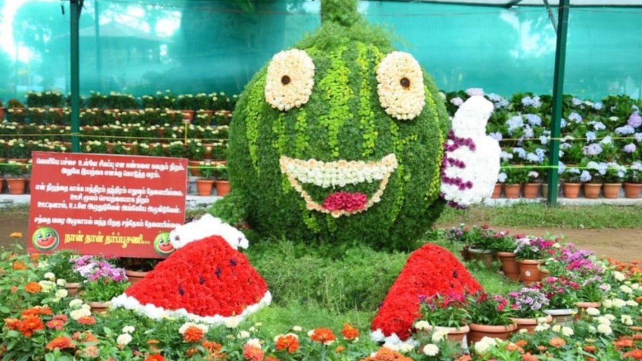 இந்த கோடை விழாவில்  ஒவ்வொரு நாளும் மாலை  பல்வேறு வகையான கலை நிகழ்ச்சிகள் மற்றும் பல்வேறு வகையான போட்டிகள் ஆகியவை நடத்தப்பட்டு வருகிறது.  அந்த வகையில்,  இன்று ஞாயிற்றுக்கிழமை (  மே 24-  ஆம் தேதி)  கால்நடை பராமரிப்பு துறை சார்பில் செல்லப் பிராணிகள்  கண்காட்சி  நடைபெற்றது. இதில்,  ஏராளமான பொதுமக்கள்  மற்றும் சுற்றுலாப் பயணிகள் தங்களது வீடுகளில் வளர்த்து வரும் கிளிகள், பறவைகள், பூனைகள்,  அல்சேஷன், பொமேரியன், ஜெர்மன் ஷெப்பர்ட், டாபர்மேன் உள்ளிட்ட பல்வேறு வகையான வெளிநாட்டு இன நாய்களை காட்சிப்படுத்தி இருந்தனர்.