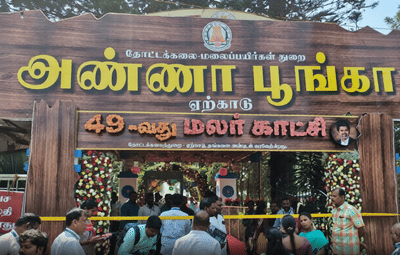 பனியில் பளபளக்கும் மின் விளக்குகள்:ஏற்காட்டில் கோடை விழா ஸ்டார்ட்