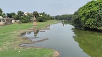 காவிரியில் முதலை? வைரல் வீடியோவால் மக்கள் பீதி...