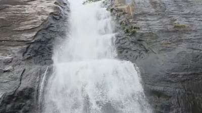குற்றாலத்தில் குளிக்க தடை விதித்த வனத்துறை!