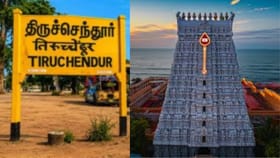 திருச்செந்தூர் முருகன் கோயிலில் விசாரணை குழு அமைப்பு.. ஜூன் 20-க்குள் அறிக்கை சமர்ப்பிக்க உத்தரவு..!...