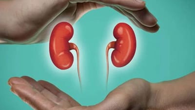 சிறுநீரகம் ஆரோக்கியமா இருக்கணுமா? இதை செய்தாலே போதும்!