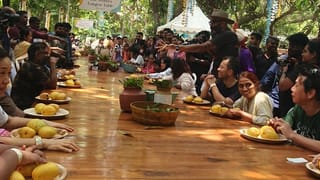 மாம்பழ ரசிகர்களுக்கு இனிய விருந்து… சென்னையில் தொடங்கிய மெகா திருவிழா!