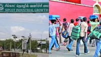 வடமாநில தொழிலாளர்களின் விவரங்கள் சேகரிக்க வேண்டும்...