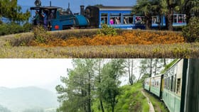 வளைந்து நெளிந்து செல்லும் வண்டியில்… இந்தியாவின் அழகிய டாய் ரயில் பயணங்கள்!...