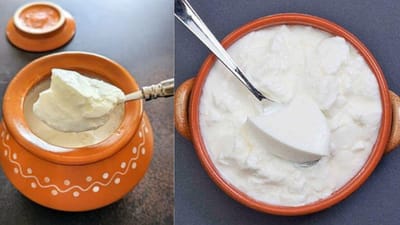 தயிர் கெட்டுப்போகாமல் நீண்ட நாள் பிரெஷ்ஷாக இருக்க சூப்பர் டிப்ஸ்!