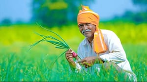 பிஎம் கிசான் 23வது தவணை.. நாளை விவசாயிகளின் வங்கி கணக்கில் வரவுள்ள ரூ.2,000! பிஎம் கிசான் 23வது தவணை.. நாளை விவசாயிகளின் வங்கி கணக்கில் வரவுள்ள ரூ.2,000!