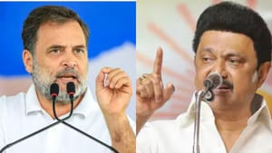 ஒன்றிணைந்து போராடுவோம் – திமுக தலைவர் மு.க.ஸ்டாலினுக்கு ராகுல் காந்தி பதில் ஒன்றிணைந்து போராடுவோம் – திமுக தலைவர் மு.க.ஸ்டாலினுக்கு ராகுல் காந்தி பதில்