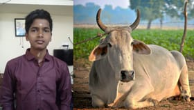 அறுந்து கிடந்த மின்கம்பியை மிதித்த பசு.. காப்பாற்ற முயன்ற பள்ளி மாணவன் பரிதாப பலி.....