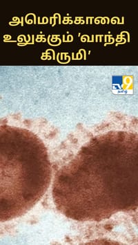 அமெரிக்காவை உலுக்கும் 'வாந்தி கிருமி' அதிவேகமாகப் பரவும் வயிறு தொடர்பான வைரஸ்...
