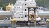 கலப்பட நெய் விவகாரம் - திண்டுக்கல்லில் அமலாக்கத்துறை சோதனை...