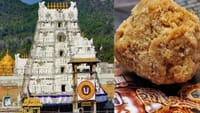 திருப்பதி லட்டு செய்ய இவ்வளவு பொருட்கள் தேவையா? விவரம்...