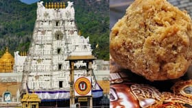 திருப்பதி லட்டு செய்ய இவ்வளவு பொருட்கள் தேவையா? புது சாதனை படைத்த பிரசாதம்!...