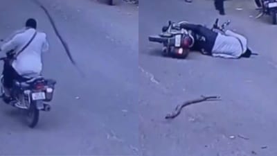 சாலையில் இருசக்கர வாகனத்தில் சென்றவர் தலையில் விழுந்த மரக்கிளை!