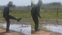 பாம்புடன் சண்டை போட்ட நபர் - இணையத்தில் வைரலாகும் வீடியோ!...